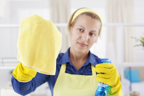 Domestic cleaning in N6 living room maintenance