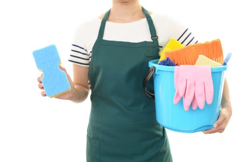 Professional house cleaning in N6 for a tidy living room