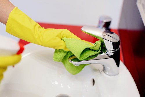 Professional oven cleaning in N6 with a spotless appliance