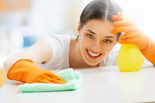 Professional oven cleaner in N6 removing grease from a kitchen oven