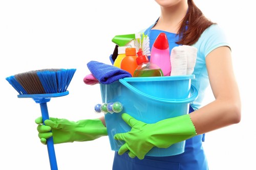 Stain removal and odor treatment for a lounge sofa