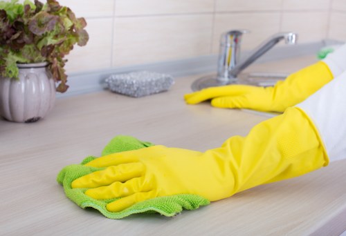 Experienced N6 carpet cleaners presenting their professional values