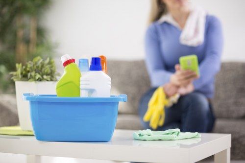 Regular cleaning in N6 for a well-maintained family home