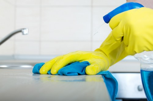 Eco-friendly cleaners in N6 using safe cleaning products