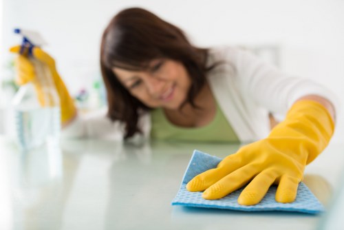 Professional home cleaning service in N6