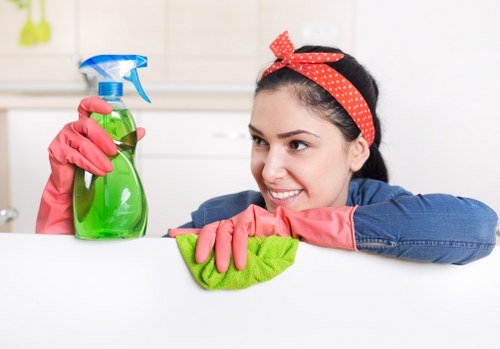 Accessibility-focused content structure for Carpet Cleaners N6 area visitors