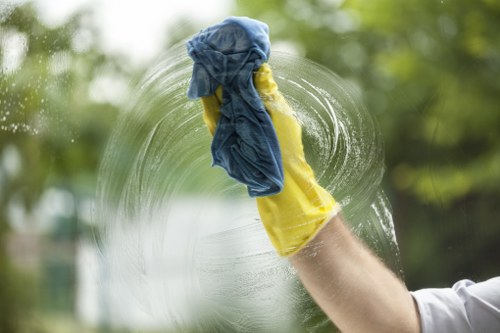 Further carpet cleaning and quotation planning