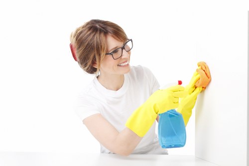 Deep house cleaning in N6 focusing on bathroom hygiene