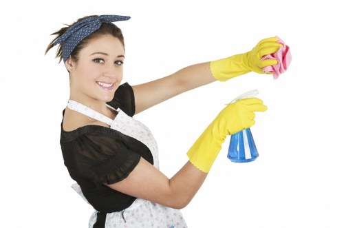 Risk assessed carpet cleaning service carried out with care and attention