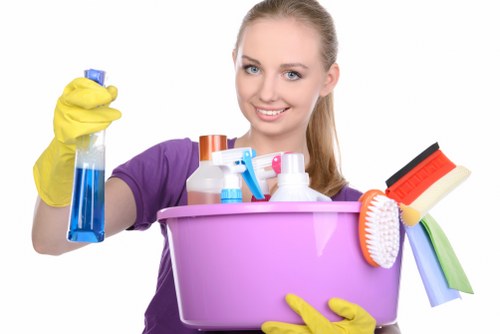 Professional carpet cleaning process in a domestic property