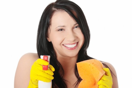 Local cleaners in N6 providing domestic cleaning services